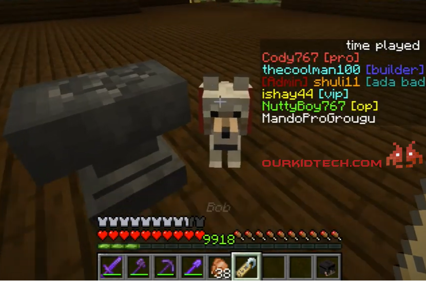 How To Name Your Pet In Minecraft