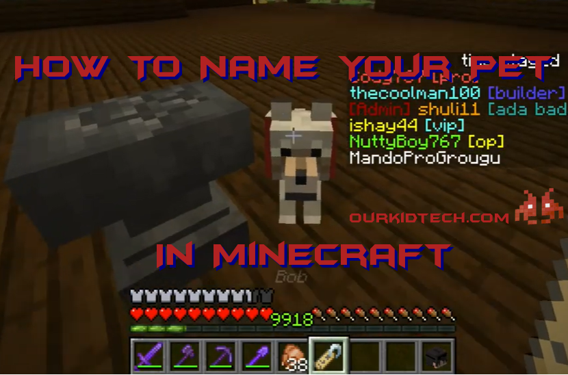 how to name your pets in minecraft